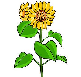 花卉古典插畫