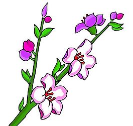 花卉古典插畫