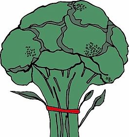 蔬菜