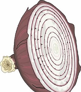 蔬菜