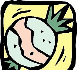 蔬菜