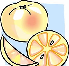 蔬菜