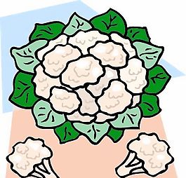 蔬菜