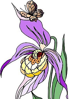 花朵 花草 鮮花 矢量 EPS格式_1535