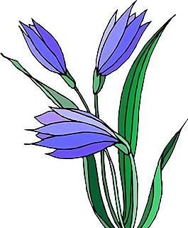 花朵 花草 鮮花 矢量 EPS格式_1531