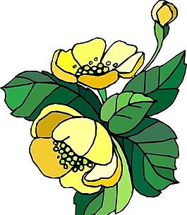花朵 花草 鮮花 矢量 EPS格式_1529
