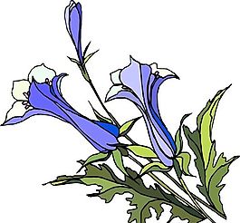 花朵 花草 鲜花 矢量 EPS格式_1508