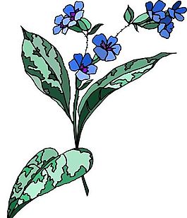 花朵 花草 鮮花 矢量 EPS格式_1504