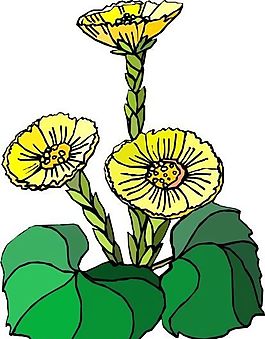 花朵 花草 鮮花 矢量 EPS格式_1494