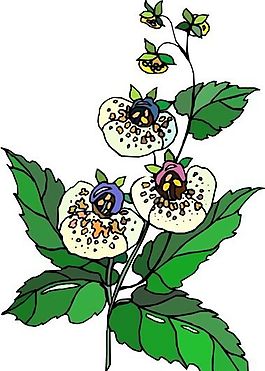 花朵 花草 鮮花 矢量 EPS格式_1485