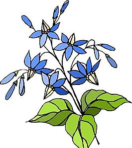 花朵 花草 鮮花 矢量 EPS格式_1476