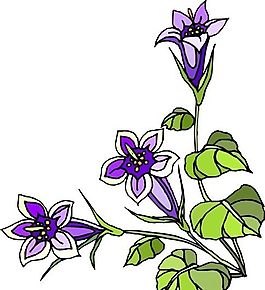 花朵 花草 鮮花 矢量 EPS格式_1474