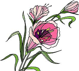 花朵 花草 鮮花 矢量 EPS格式_1470