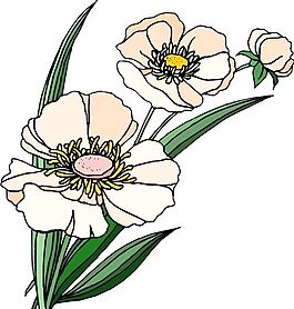 花朵 花草 鲜花 矢量 EPS格式_1466