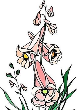 花朵 花草 鮮花 矢量 EPS格式_1465