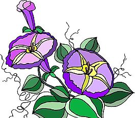 花朵 花草 鮮花 矢量 EPS格式_1464