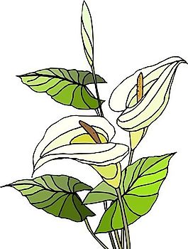 花朵 花草 鮮花 矢量 EPS格式_1459