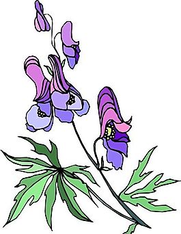 花朵 花草 鮮花 矢量 EPS格式_1455