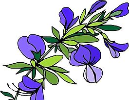 花朵 花草 鮮花 矢量 EPS格式_1452