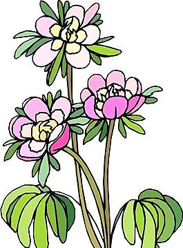 花朵 花草 鮮花 矢量 EPS格式_1449