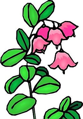 花朵 花草 鮮花 矢量 EPS格式_1448