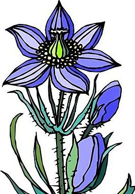 花朵 花草 鮮花 矢量 EPS格式_1434