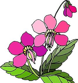 花朵 花草 鮮花 矢量 EPS格式_1431