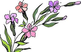 花朵 花草 鮮花 矢量 EPS格式_1430