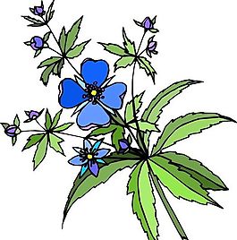 花朵 花草 鮮花 矢量 EPS格式_1429