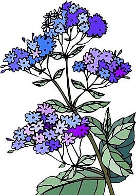 花朵 花草 鮮花 矢量 EPS格式_1428