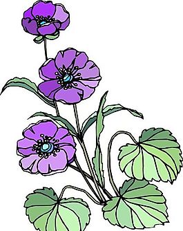 花朵 花草 鮮花 矢量 EPS格式_1422