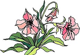 花朵 花草 鮮花 矢量 EPS格式_1410