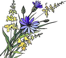 花朵 花草 鮮花 矢量 EPS格式_1407