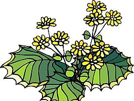 花朵 花草 鮮花 矢量 EPS格式_1405