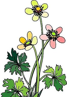 花朵 花草 鲜花 矢量 EPS格式_1394