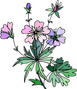 花朵 花草 鮮花 矢量 EPS格式_1389