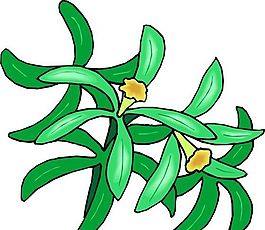 花朵 花草 鲜花 矢量 EPS格式_1337