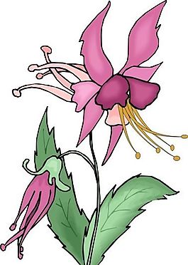 花朵 花草 鮮花 矢量 EPS格式_1333