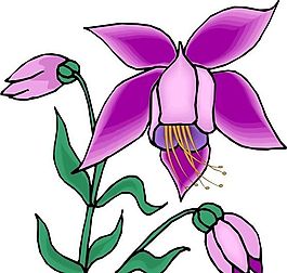 花朵 花草 鮮花 矢量 EPS格式_1331