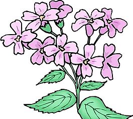 花朵 花草 鮮花 矢量 EPS格式_1330