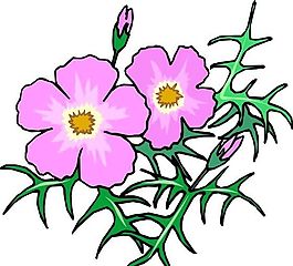 花朵 花草 鮮花 矢量 EPS格式_1327