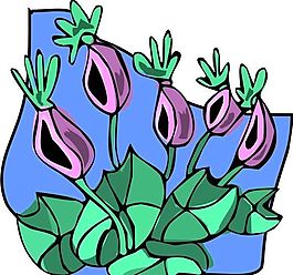 花朵 花草 鮮花 矢量 EPS格式_1324