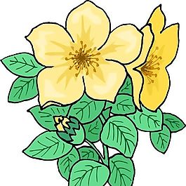 花朵 花草 鲜花 矢量 EPS格式_1323