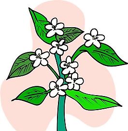花朵 花草 鮮花 矢量 EPS格式_1262
