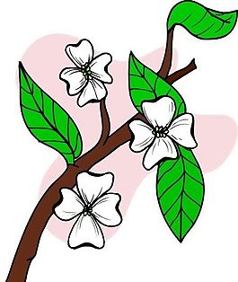 花朵 花草 鮮花 矢量 EPS格式_1258