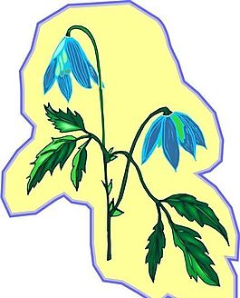 花朵 花草 鮮花 矢量 EPS格式_1236