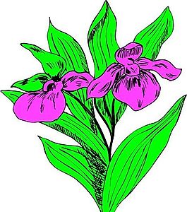 花朵 花草 鮮花 矢量 EPS格式_1201