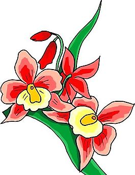花朵 花草 鲜花 矢量 EPS格式_1137