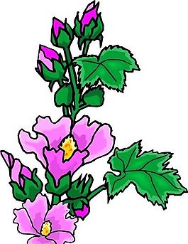 花朵 花草 鮮花 矢量 EPS格式_1136
