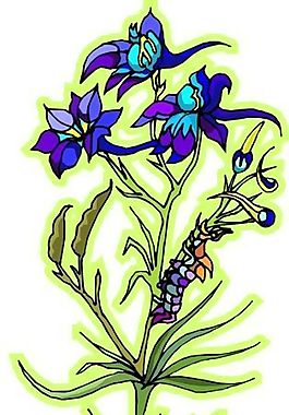 花朵 花草 鮮花 矢量 EPS格式_1114